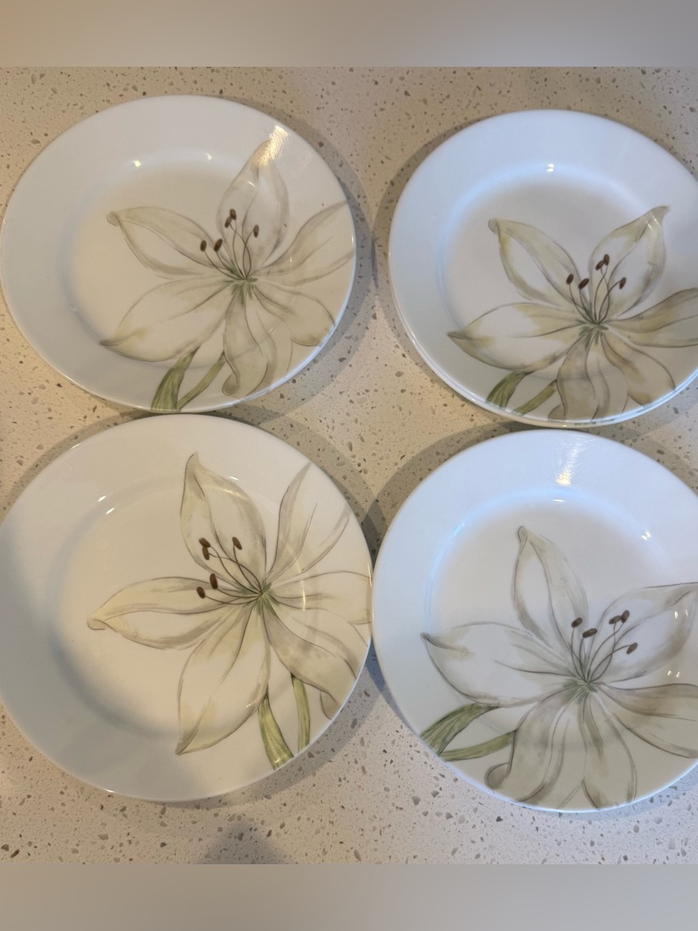 8 Corelle Vitrelle Retired White Flower 8 1/2in. Salad Plates Set Vitrelle Plate
